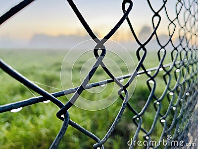 diamond wire mesh fence. Stock Photo