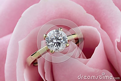 Diamond Ring and Rose Stock Photo