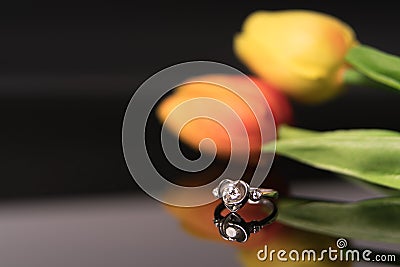 The diamond ring with tulips flower backgrounds, luxury rings with copy space Stock Photo