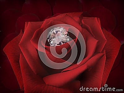 Diamond on a Rose Flower on background of beautiful red rose petals Stock Photo