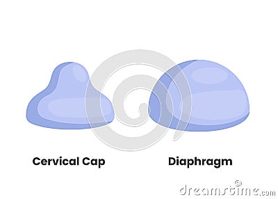 Diaphragm and cervical cap Vector Illustration