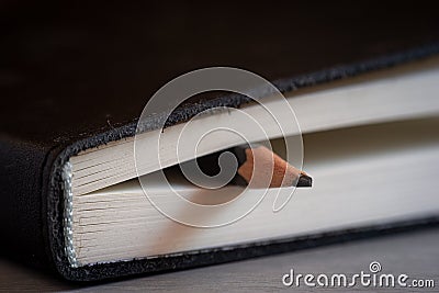 Diary or note pad with pencil ,home or office journal ,self improvement writing or drawing,close up Stock Photo