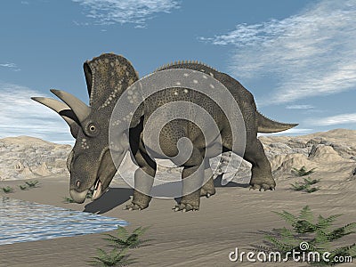 Diceratops nedoceratops dinosaur in the desert - 3D render Stock Photo