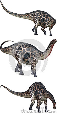 Dicraeosaurus Stock Photo