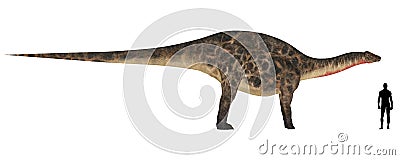 Dicraeosaurus Size Comparison Stock Photo