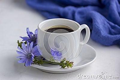 Diet drink chicory in a cup, coffee substitute. Cichorium intybus flower Stock Photo