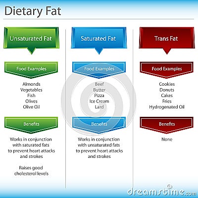 Dietary Fat Chart Vector Illustration