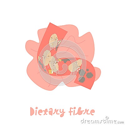 Dietary fibre. Cartoon character in a trendy style. Vector Illustration