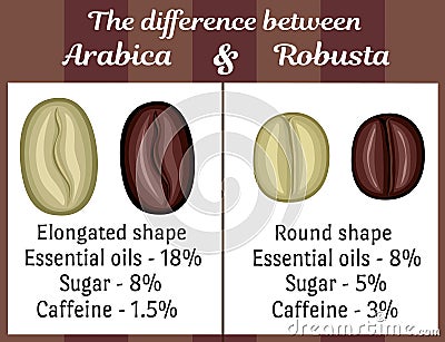 The difference between Arabica and Robusta Vector Illustration