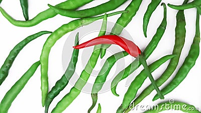 Difference color of fresh chili. Stock Photo