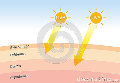 The difference of radiation 2 types in sunlight with skin. Vector Illustration