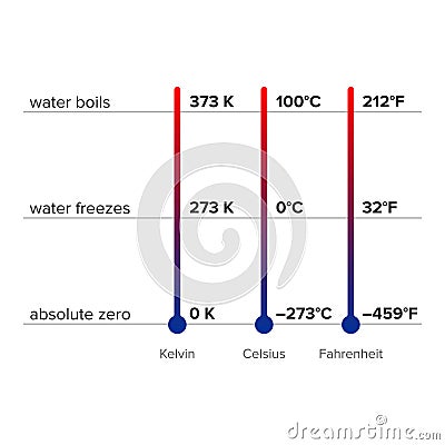 Difference between thermometers and conversion chart Vector Illustration