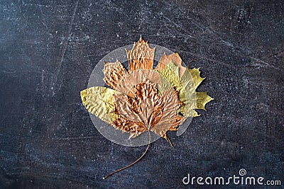 Different autumn metallic gold copper leaf bouquet. Different fa Stock Photo