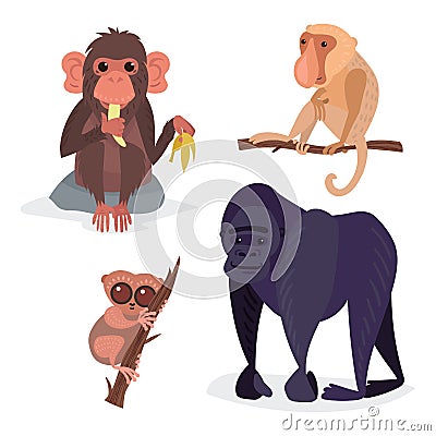Different breads monkey character animal wild zoo ape chimpanzee vector illustration. Vector Illustration