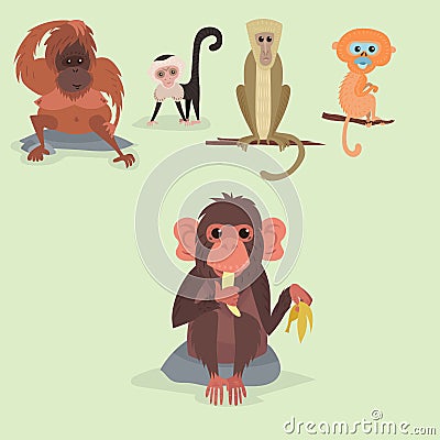 Different breads monkey character animal wild zoo ape chimpanzee vector illustration. Vector Illustration