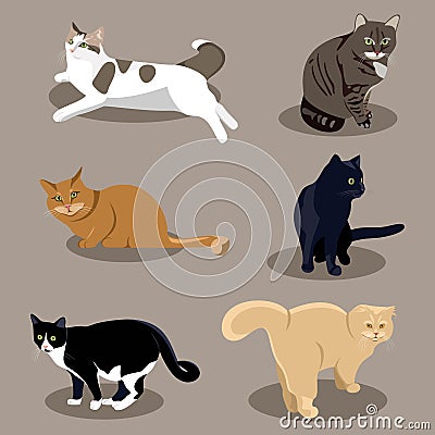 Different breeds of cats in different poses Vector Illustration