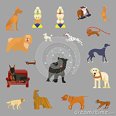 Different breeds of dogs Vector Illustration