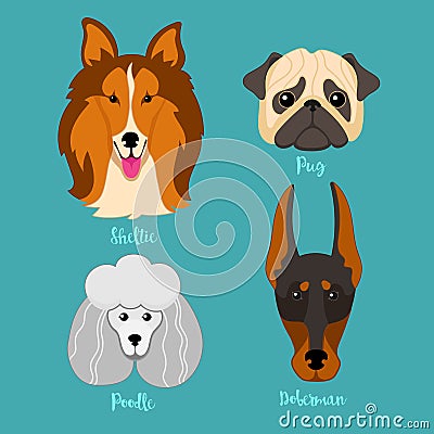 Different breeds of dogs. Vector Illustration