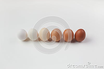 Different brown colors eggs on white background. Color gradient. Zero waste Easter concept. Stock Photo