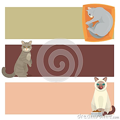 Different cat banners cards cute kitty pet cartoon cute animal cattish character set catlike illustration Vector Illustration