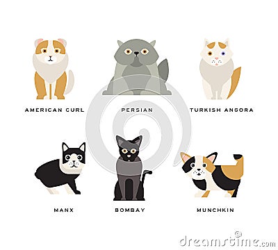 Different Cat Breed with American Curl, Persian, Turkish Angora, Manx, Bombay and Munchkin Vector Set Vector Illustration