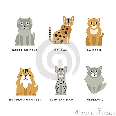 Different Cat Breed with Scottish Fold, Bengal, La Perm, Norwegian Forest, Egyptian Mau and Nibelung Vector Set Vector Illustration