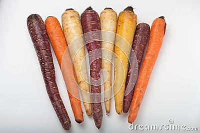 Different colored fresh picked assorted carrots Stock Photo