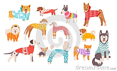 Different cute dogs breeds, adorable puppies wearing funny clothes isolated set on white background Vector Illustration