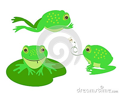 Different cute frogs Stock Photo