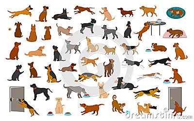 Different dog breeds and mixed set, pets play running jumping eating sleeping, sit lay down and walk, steal food, bark, protect. i Vector Illustration