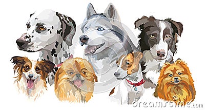 Different dog breeds set Vector Illustration