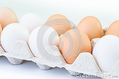 Different eggs in carton pack isolated on white Stock Photo