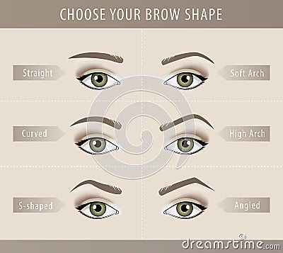 Different eyebrow shapes tutorial. vector template Vector Illustration