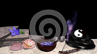 Different flowers, stone plates, shell with flowers, pumice stone Stock Photo