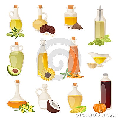 Different food oil in bottles isolated on white with cooking transparent liquid and natural, vegetable, virgin organic Vector Illustration