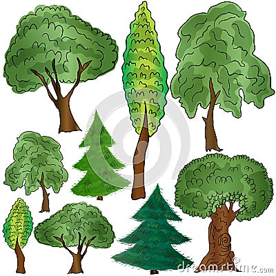 Different forms of deciduous and coniferous trees Vector Illustration