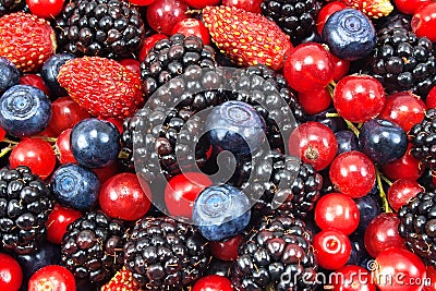 Different fresh berries Stock Photo