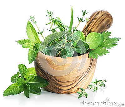 Different fresh green herbs in the wooden mortar. Stock Photo