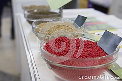 Different genetically modified agricultural millet in the glass saucer Stock Photo