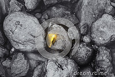 Different golden stone found around dirty rock business employee performance outstanding Stock Photo