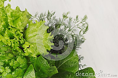 Different green sheaves greens for spring salad on white wooden background, top view. Stock Photo