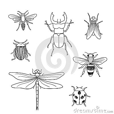 Different hand drawn doodle insects Vector Illustration