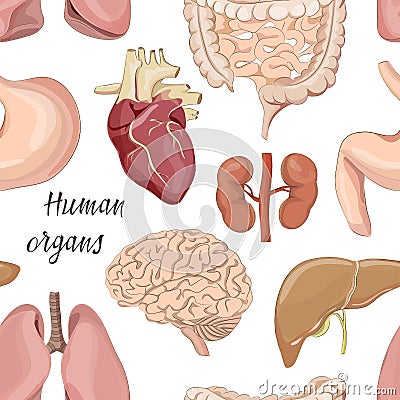 Different human organs set pattern Vector Illustration
