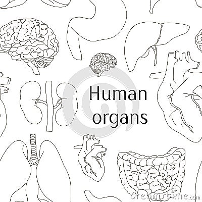 Different human organs set pattern Vector Illustration