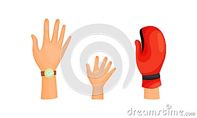 Different Human Right Hands with Palm Raised Up Vector Set Vector Illustration