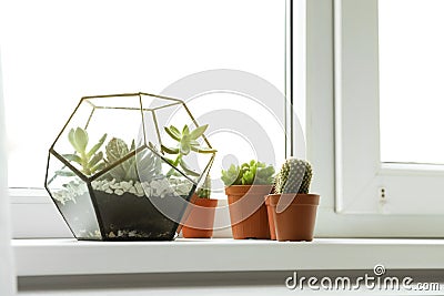 Different indoor plants on window sill Stock Photo