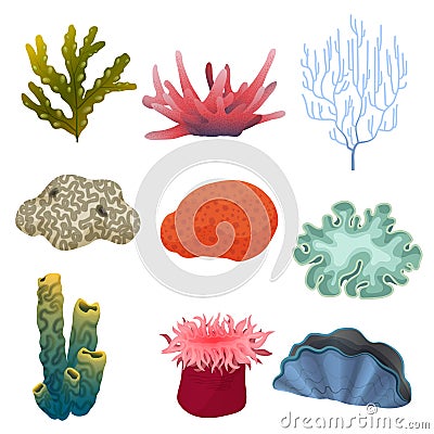 Different kind of cartoon underwater plants and color reef coral icons set. Sea bottom. Vector Illustration