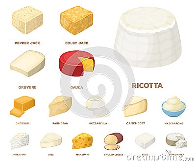 Different kind of cheese cartoon icons in set collection for design.Milk product cheese vector symbol stock web Vector Illustration