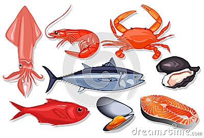 Different kind of fresh seafood. Vector illustration Vector Illustration