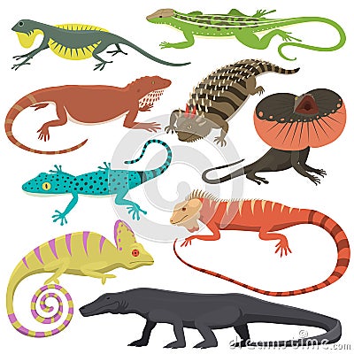 Different kind of lizard reptile isolated vector illustration. Vector Illustration